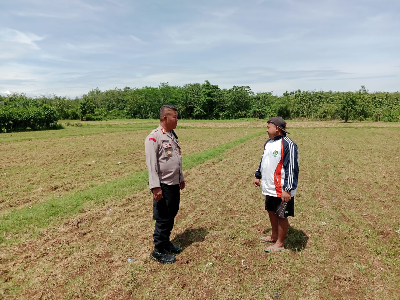 Kapolsek Subang Kota Tinjau Lahan Pertanian Jagung, Dukung Ketahanan Pangan Nasional